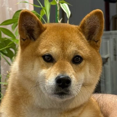 T. TSUJI Ph.D | バイオ医薬x 技術営業