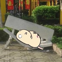 anni (⁎⁍̴̛ᴗ⁍̴̛⁎)