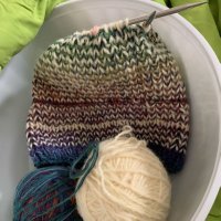 🌈RAINBOWBUTTERFLY🦋