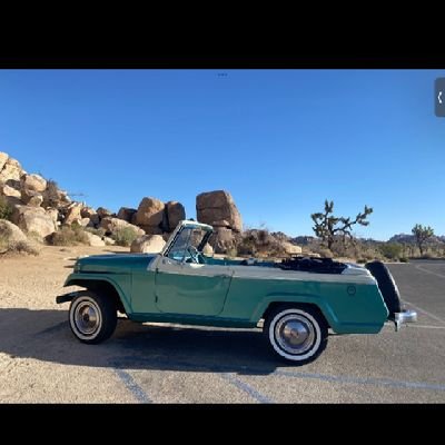 WiseGuy of Bay Street ( AKA #BayStreetWiseGuy )