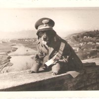 anna maria moscarell