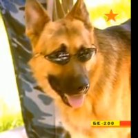 El Presidente de la Region