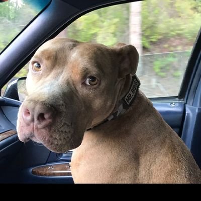 fighting for the end of communism in the world