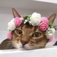 คนสวย สุขภาพดี เริ่มเลยตอนนี้