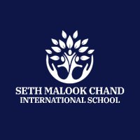 Seth Malook Chand International School