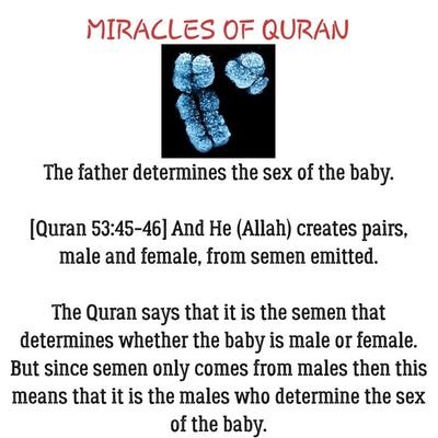 Soul Peace Islam 🌷