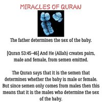 Soul Peace Islam 🌷