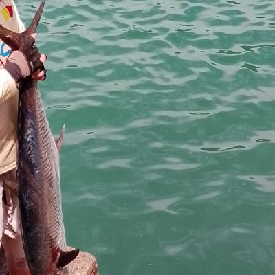 V8 coming✨🌠🏳️‍🌈