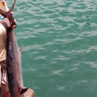 V8 coming✨🌠🏳️‍🌈