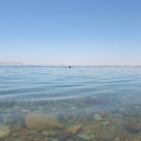 プロダクトイノベーション