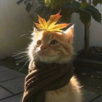 𝑱𝒆𝒓𝒓𝒚 🧸ྀི ᥫ᭡ᯓ★