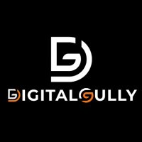 Digital Gully