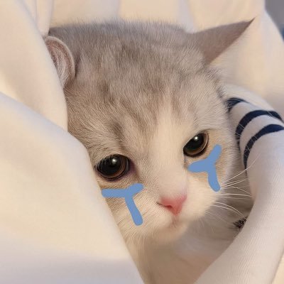 ‎Mmayy 39 ♡ ≀ ٬٬ 𖥔♎️🤍