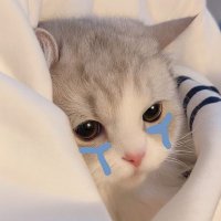 ‎Mmayy 39 ♡ ≀ ٬٬ 𖥔♎️🤍