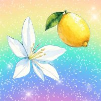 🍋こずえ🍋
