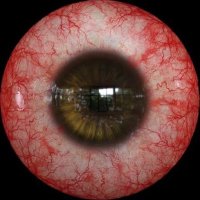 straight hair pinkie pie