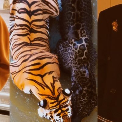 🎺🎻🎷 BORAHAE 💜