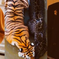 🎺🎻🎷 BORAHAE 💜