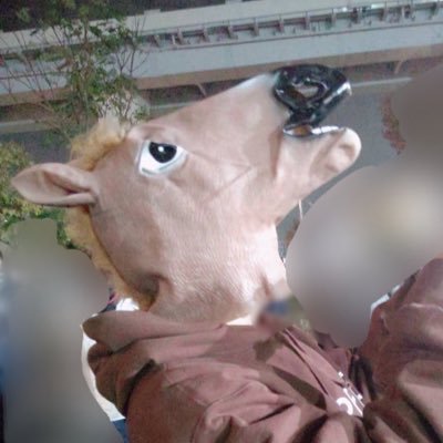 二枚目から三枚目シスコ(そら)