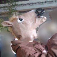 二枚目から三枚目シスコ(そら)