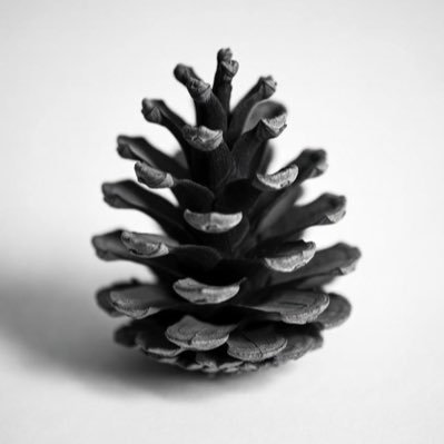 🐺🐉Tickle Queen🖖☢️