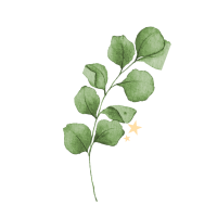 整えるひとこと 🌿｜暮らしと思考を整える