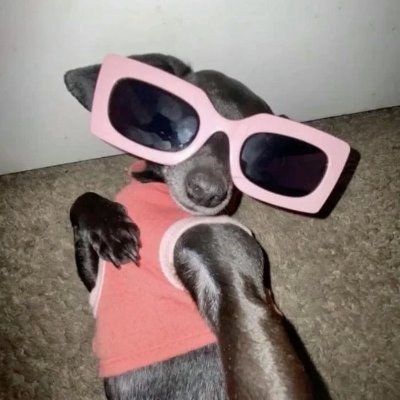 huyền khánh bích