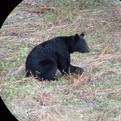詭弁屋本舗(ﾂｷﾉwaｸﾏ)