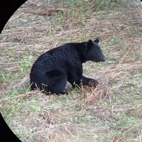 詭弁屋本舗(ﾂｷﾉwaｸﾏ)