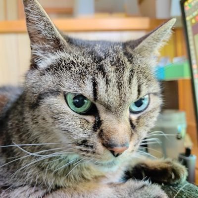 ねっとりテラシー