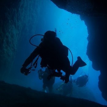 まるごとバナナ刑事
