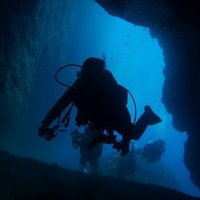 まるごとバナナ刑事