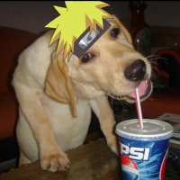 Naruto biggest meatrider 🇦🇴