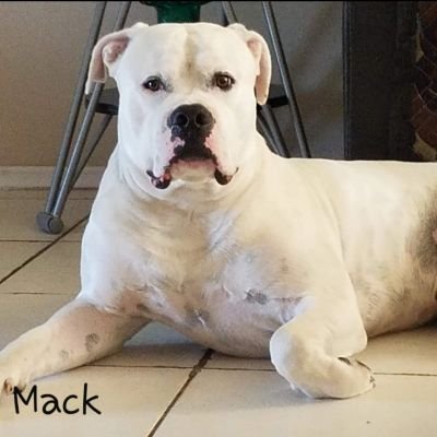 AngieS🌏☮️👵🧘‍♀️🐾🎶