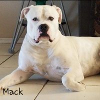 AngieS🌏☮️👵🧘‍♀️🐾🎶