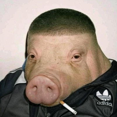 Józef Rymer - FMCG + Retail + Production