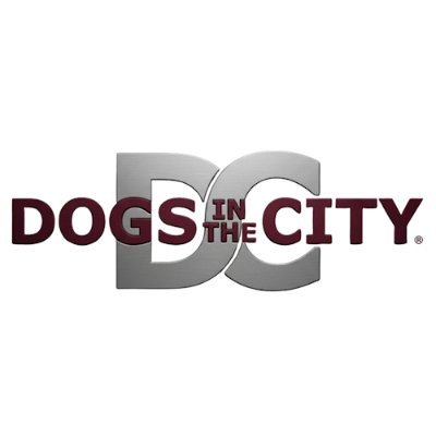 DOGS in the CITY®