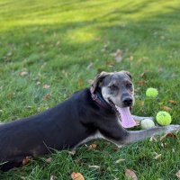 ⚾️🏈Mike⚾️🏈