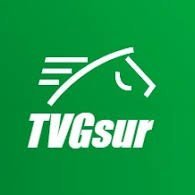 TVGsur