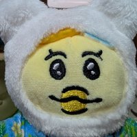 イナカガワミソコ