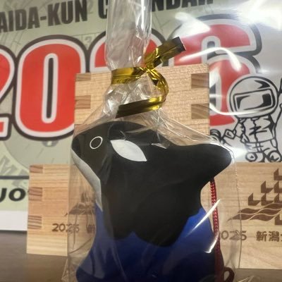 ≡🪨))`Дʔ､;'.･shiretoko_rider