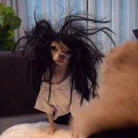 Medical Negligence Lawyer🏥💉💊⚖ 🐻