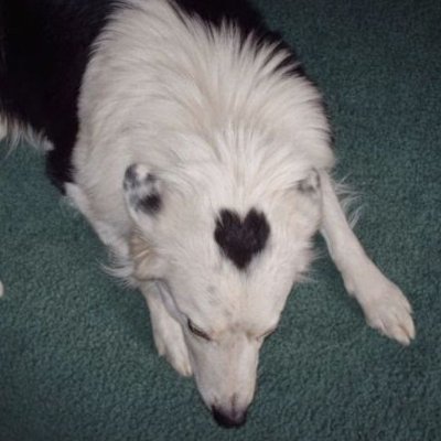 ньова ˚₊‧⁺⋆♱