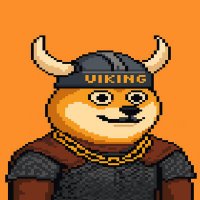THE VIKING (◉ - ◉)