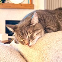 Nicole Hodges 🇺🇸