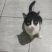 Alisson Souza (14/45)🇱🇺