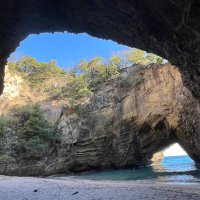 ねこすき🐈💜