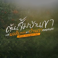 When Oranges Fall 🍊