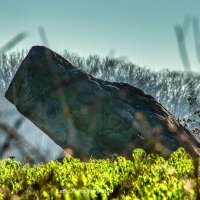 FrançoisDitleVassaux