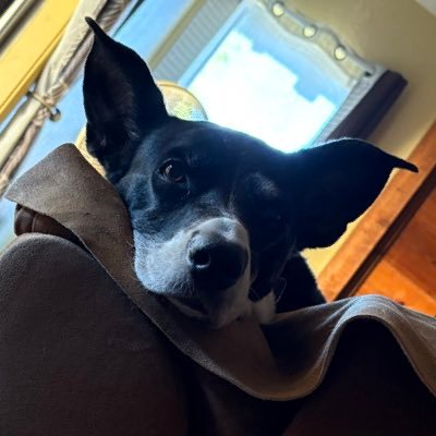 🇵🇷@lebiram🇵🇷❤️🧡💜🙏🙌†